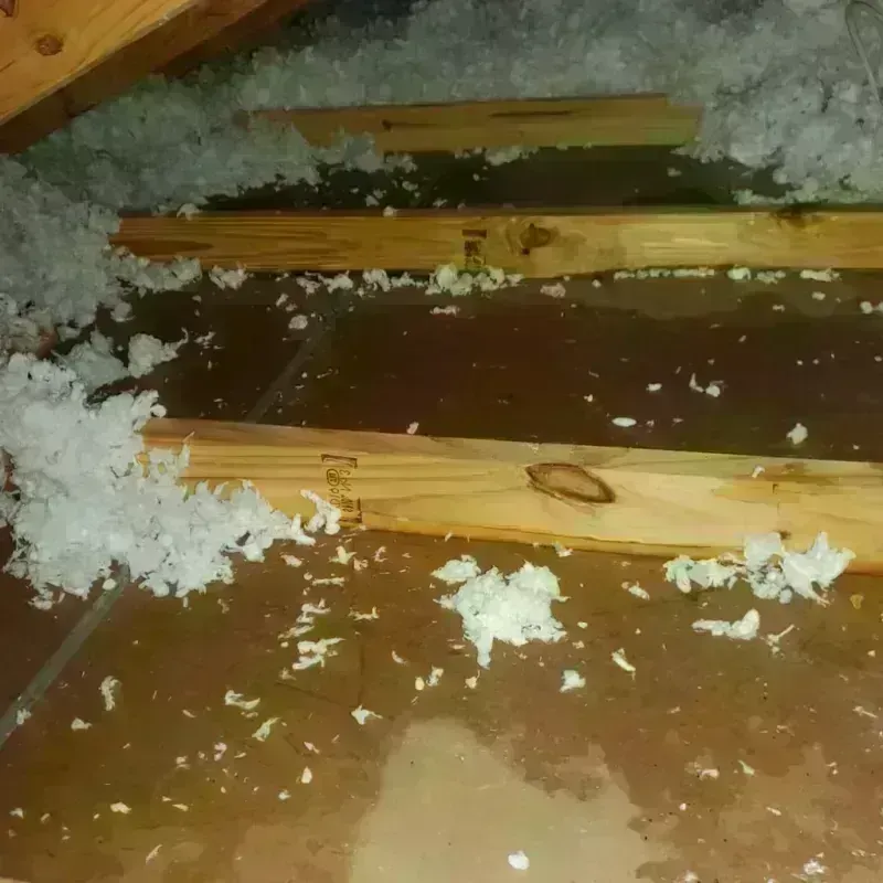 Attic Water Damage in Three Lakes, FL