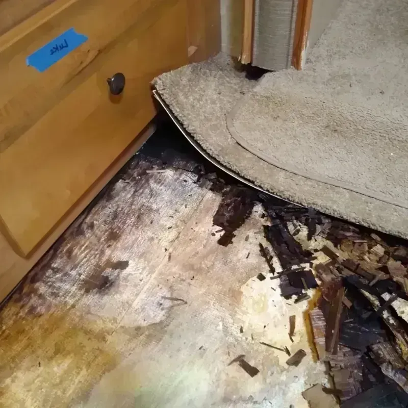 Wood Floor Water Damage in Three Lakes, FL